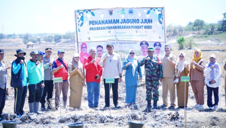 Menuju Swasembada Jagung, Bupati Bantaeng Bersama Unhas Tanam Jagung JJUH