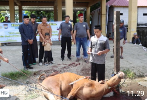 Polres Maros Kurban 10 Ekor Sapi Lebaran Idul Adha, Ratusan Paket Bakal Disebarkan untuk Masyarakat